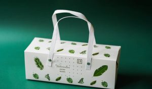 Diseño de packaging para pañuelos de papel